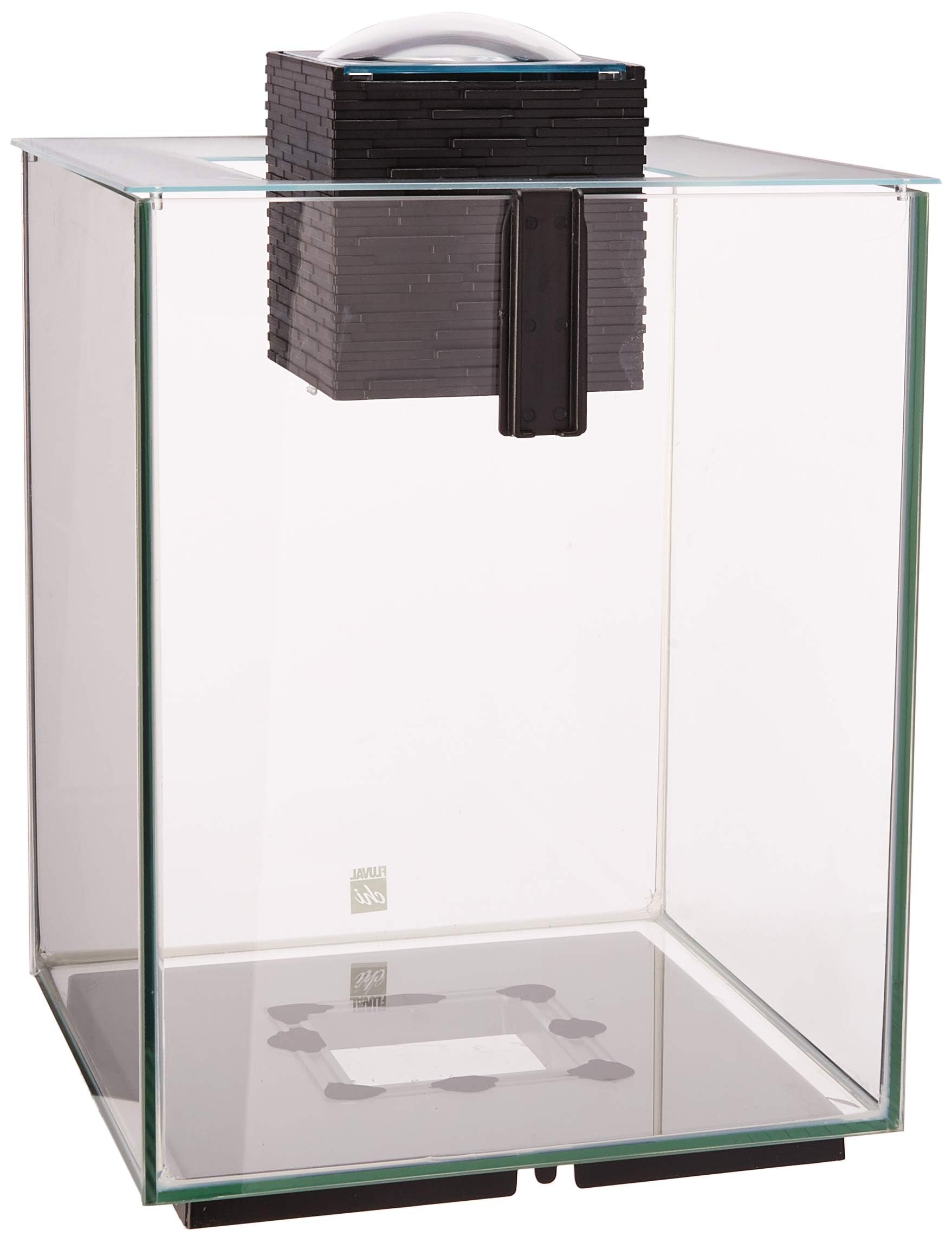 Fluval Chi II 5G ambient LED lighting enhances aquarium ambience and readability.