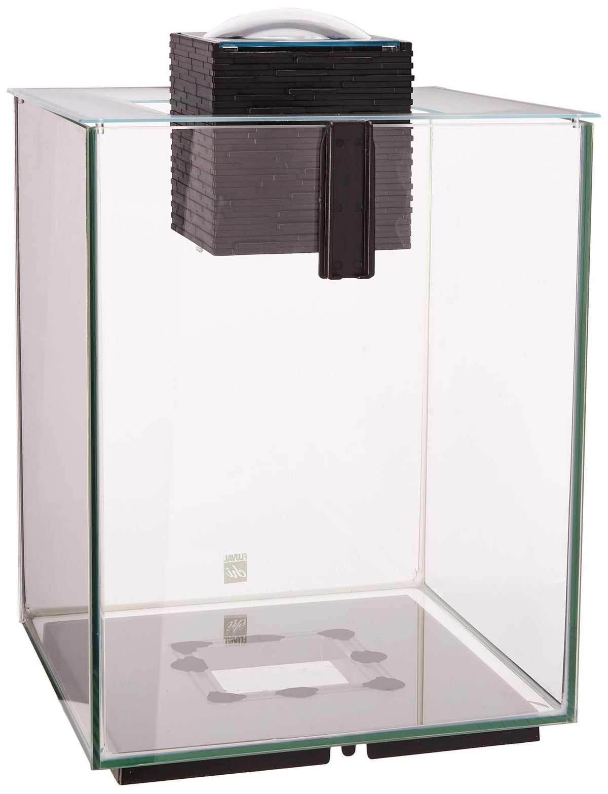 Fluval Chi II 5G ambient LED lighting enhances aquarium ambience and readability.