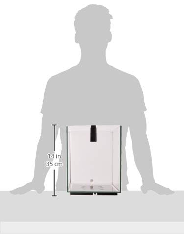 Fluval Chi II 5G rimless white design showcases compact, modern appeal.