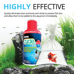 Fluval Cycle bacteria culture in water supporting rapid establishment of a balanced tank.