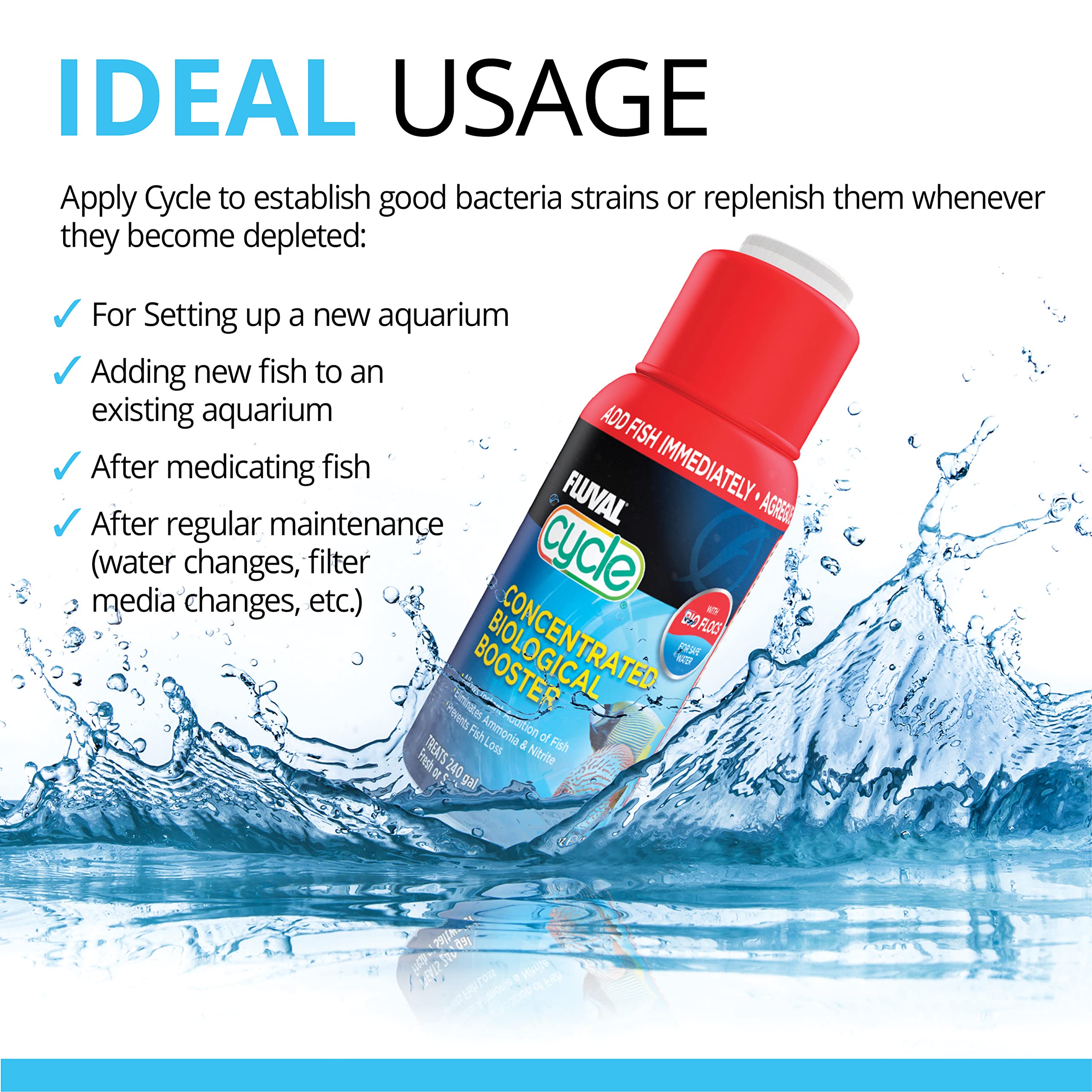 Fluval Cycle new-tank setup helping establish biological balance for first inhabitants.
