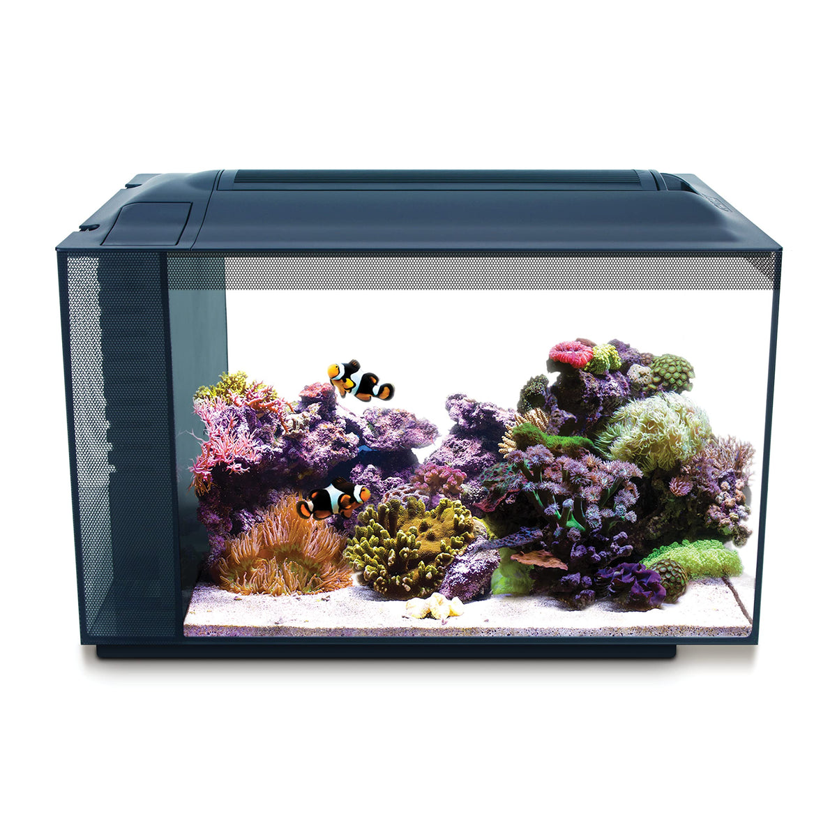 Fluval Evo XII saltwater aquarium front view compact desk setup
