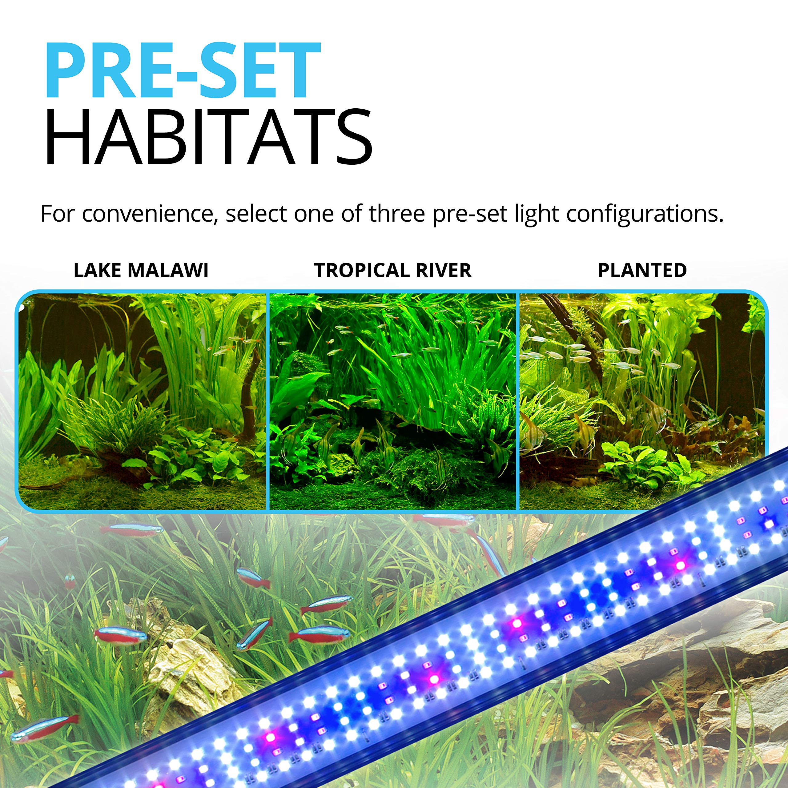 Fluval Plant 3.0 LED sunrise-sunset cycle creating natural day-night transitions.