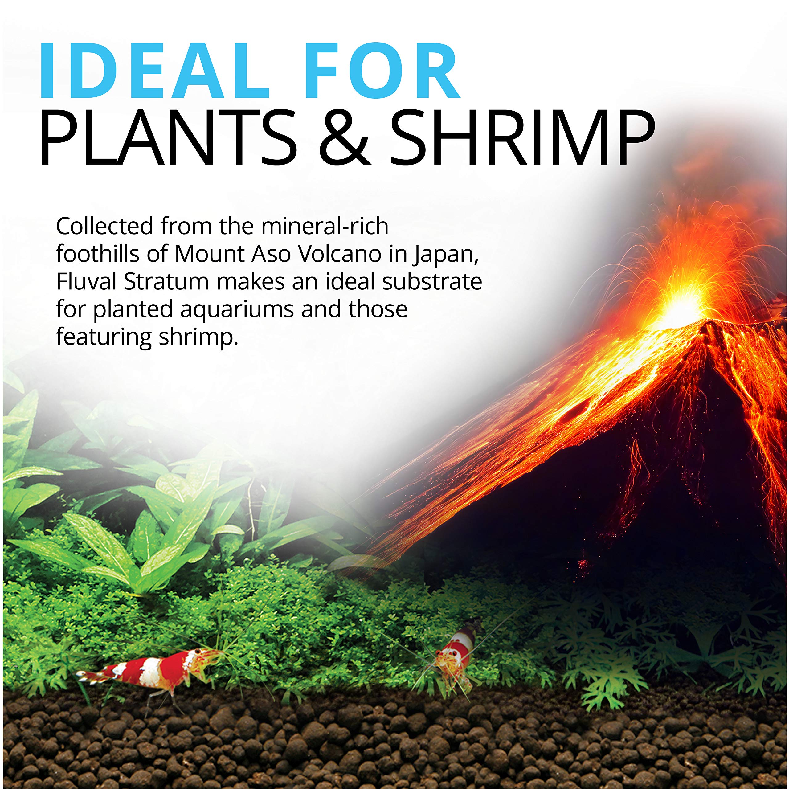 Fluval Plant and Shrimp Stratum roots weaving through the substrate for strong nutrient uptake.