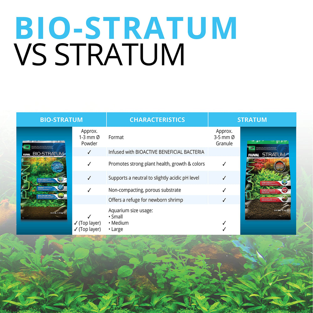Fluval Plant and Shrimp Stratum provides shelter for newborn shrimp in a community tank.