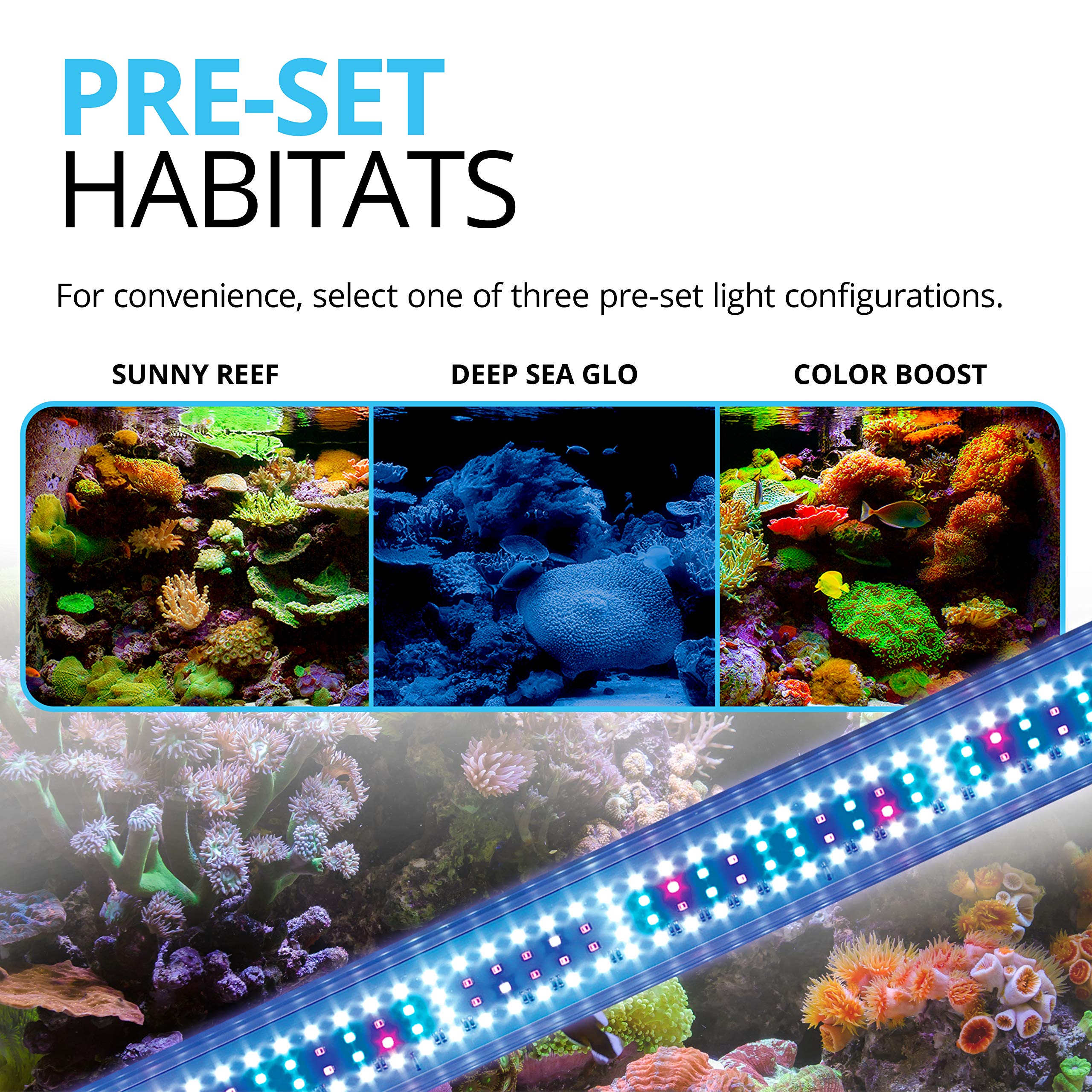 Fluval Sea Marine 3.0 LED blue spectrum with enhanced color depth for reef tanks.