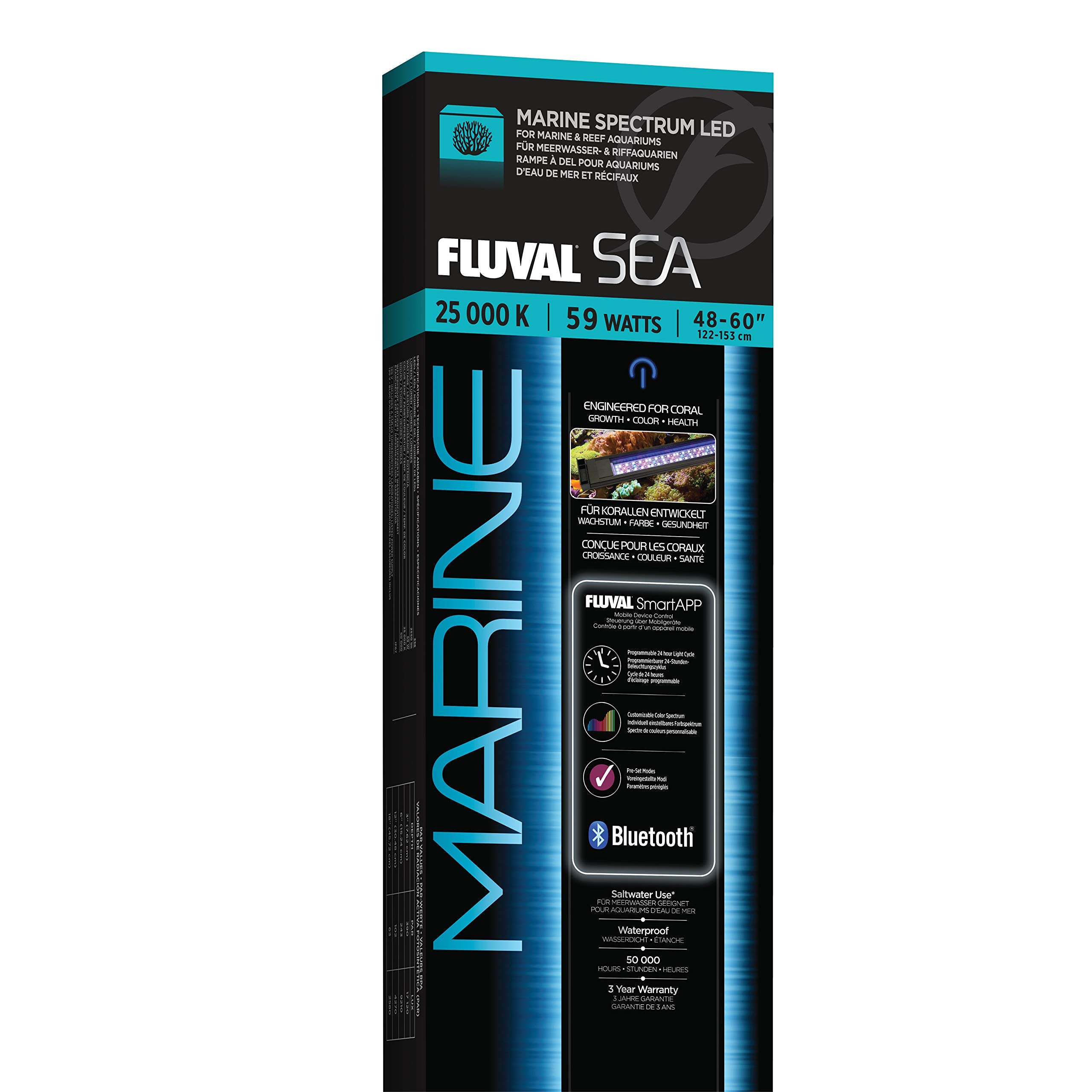 Fluval Sea Marine 3.0 LED lighting setup demonstrates reef-ready illumination for corals.