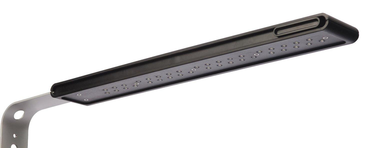Fluval SPEC 5-gallon tank setup designed for compact spaces