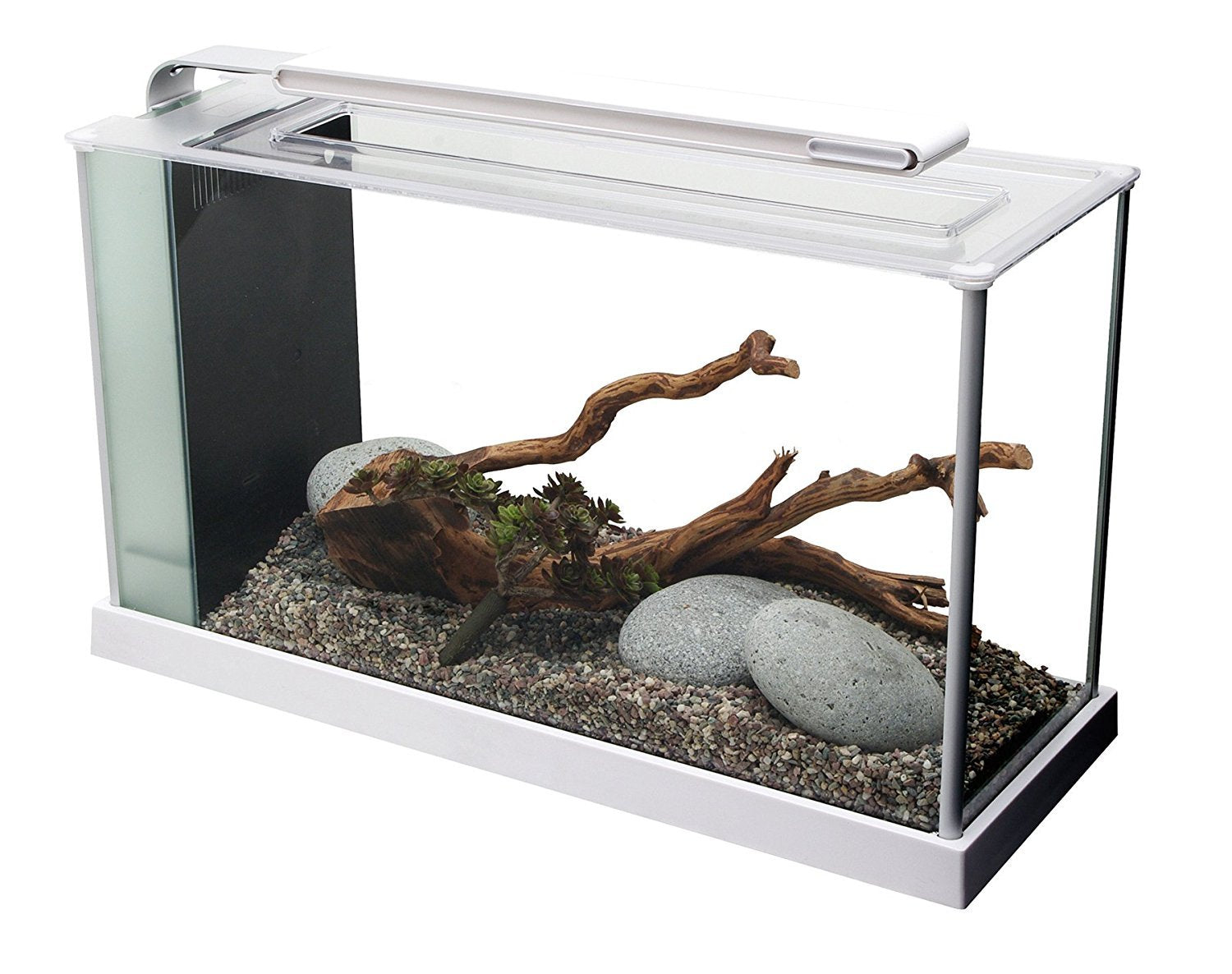 Fluval SPEC LED-lit 5-gallon desktop aquarium with white aluminum trim, ideal for small spaces.