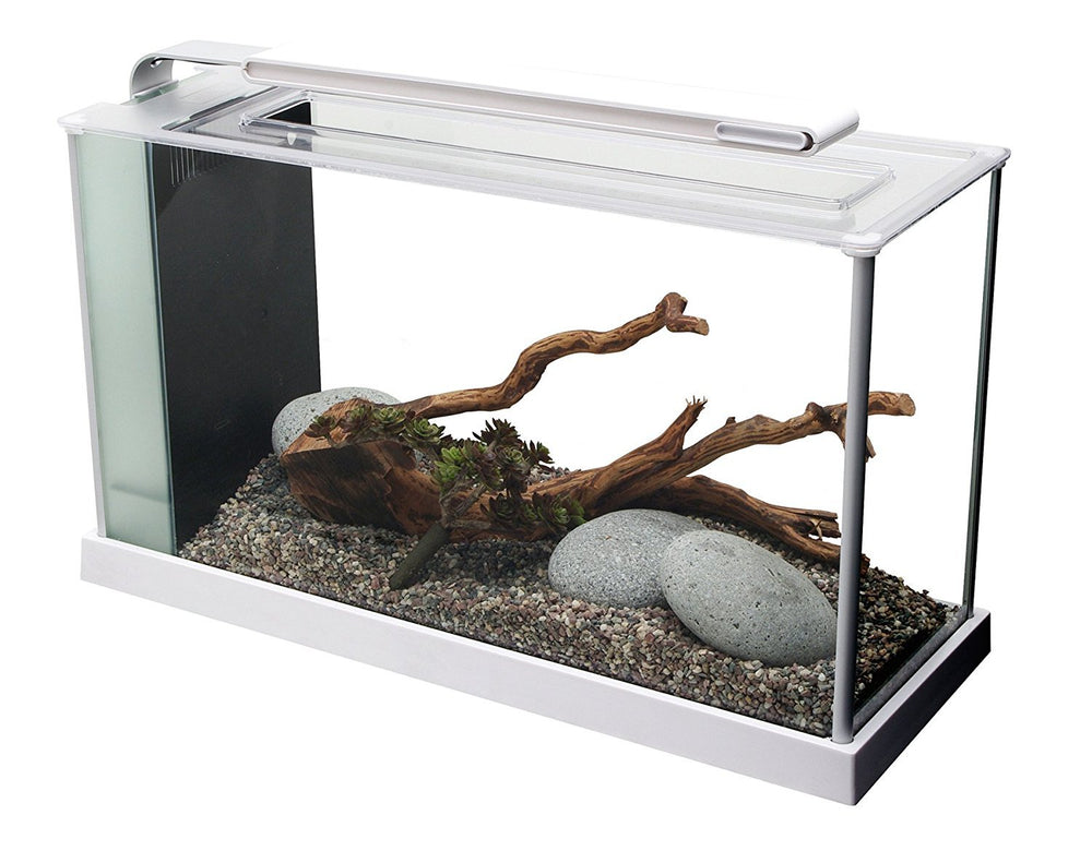 Fluval SPEC LED-lit 5-gallon desktop aquarium with white aluminum trim, ideal for small spaces.