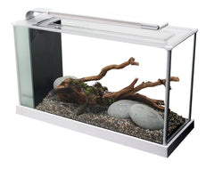 Fluval SPEC LED-lit 5-gallon desktop aquarium with white aluminum trim, ideal for small spaces.
