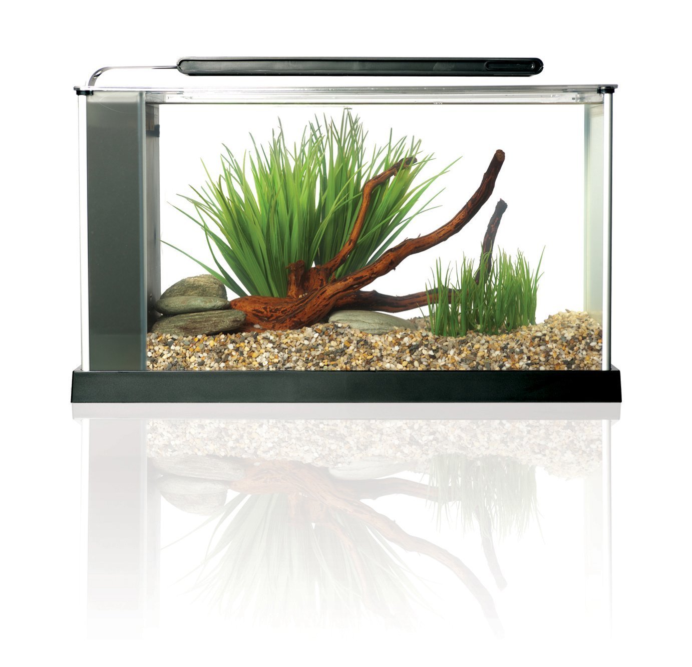 Fluval SPEC etched glass with aluminum trim for a stylish desktop aquarium