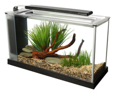 Fluval SPEC LED lighting overview with bright 7000K illumination for vibrant colors