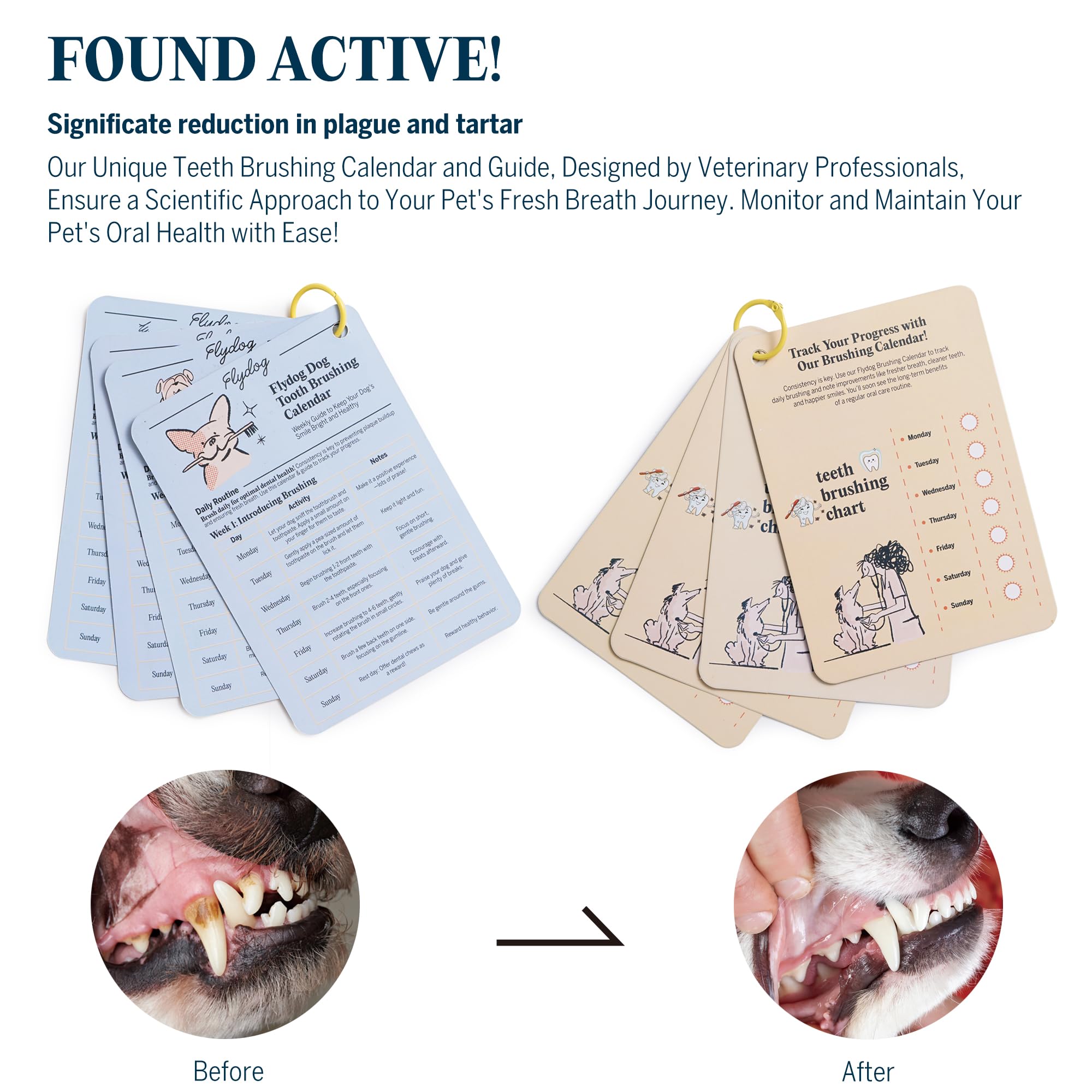 FlyDog Fresh Kiss calendar progress aids routine tracking