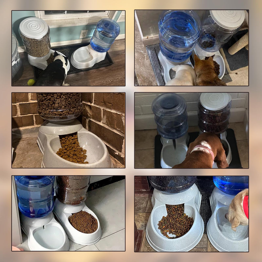 Flying Dove busy-owner-friendly feeding setup enables worry-free routine.