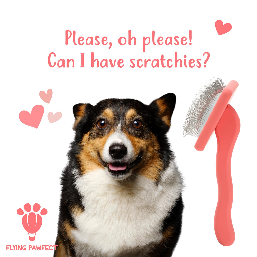 Flying Pawfect dog slicker brush durable-design is built to last through daily grooming