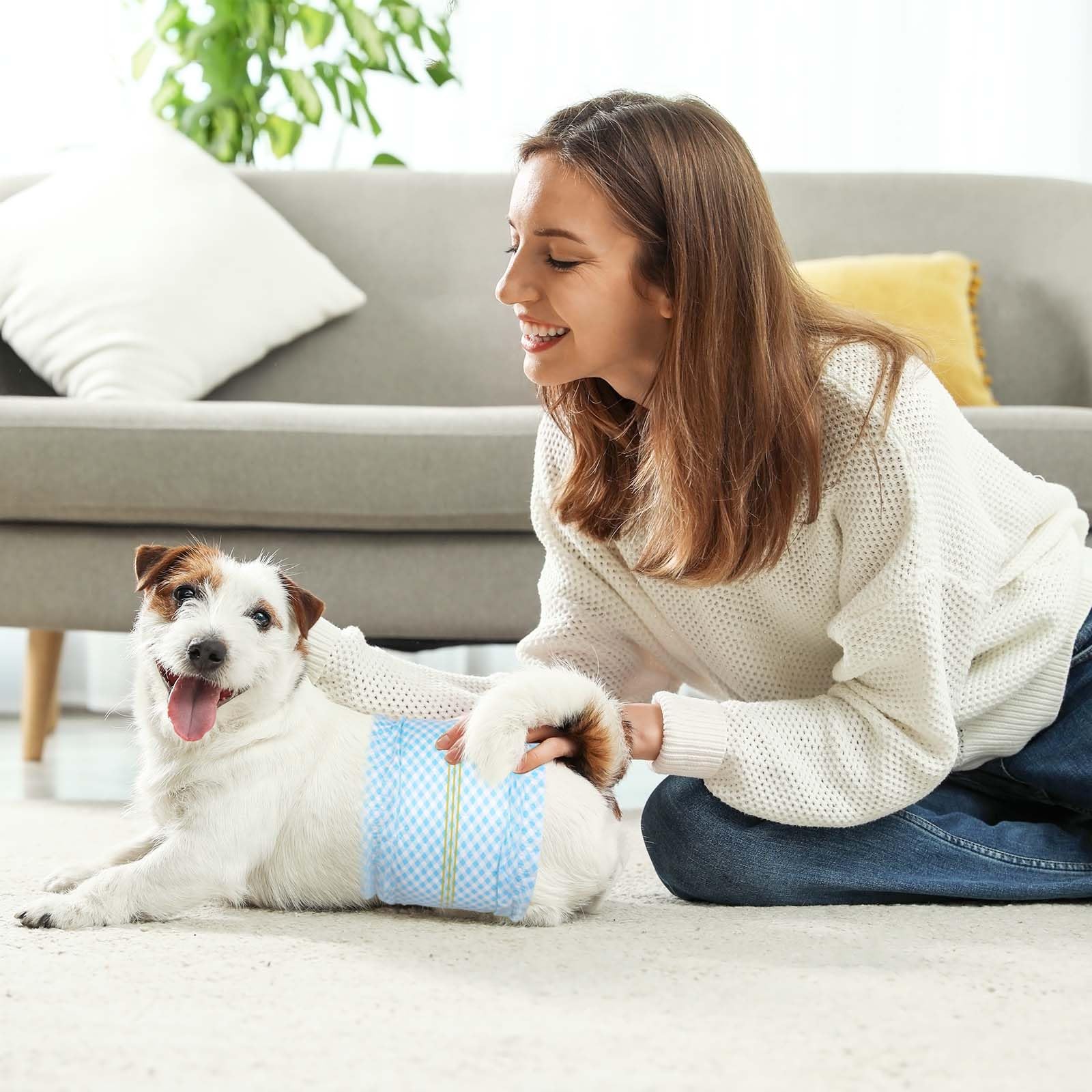 Flying Paws 40-count male dog diapers provide reliable supplies for routine care