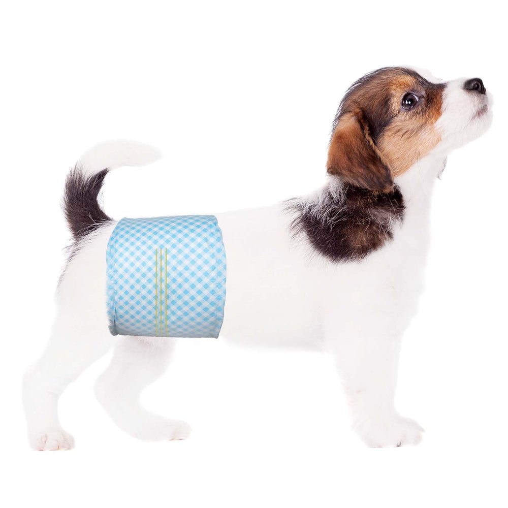 Flying Paws XS disposable belly band packaging shows compact travel-ready design.