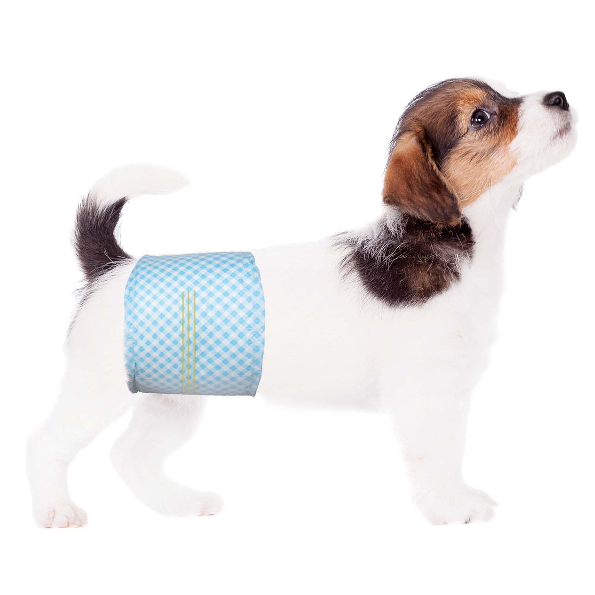 Flying Paws XS disposable belly band packaging shows compact travel-ready design.
