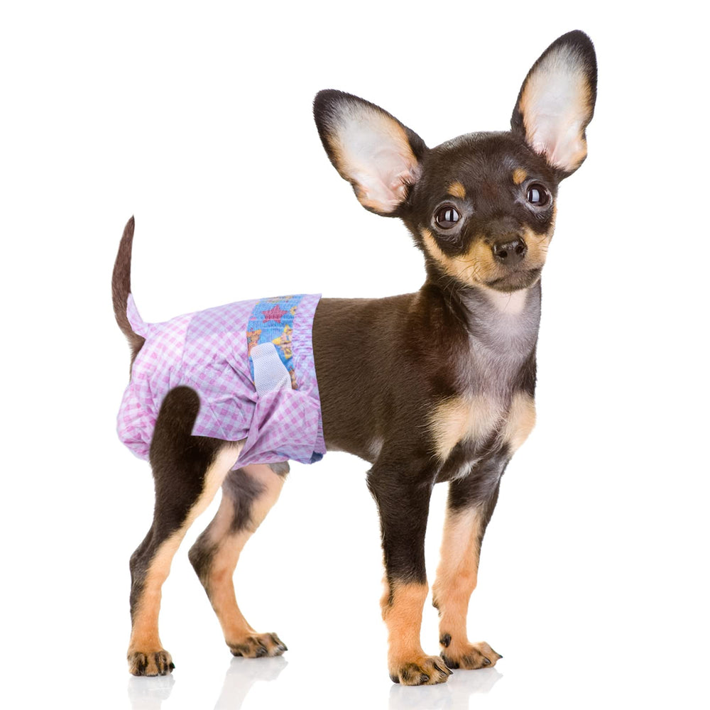 Flying Paws disposable female dog diapers with adjustable waistband offer a secure, comfortable fit.