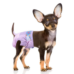 Flying Paws disposable female dog diapers with adjustable waistband offer a secure, comfortable fit.