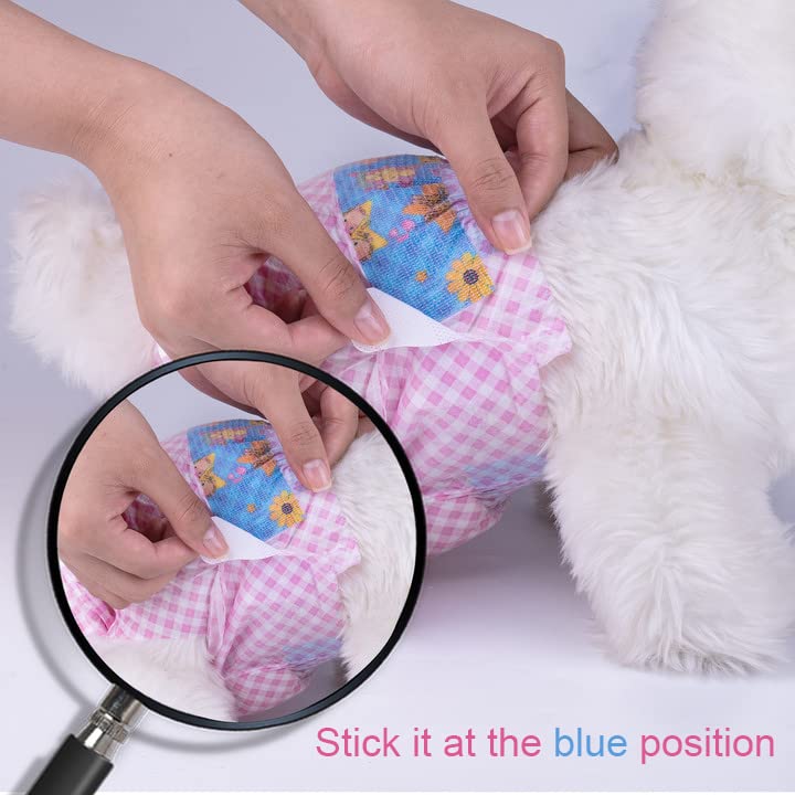 Flying Paws packaging options show single or multi-pack convenience for busy households.