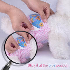 Flying Paws packaging options show single or multi-pack convenience for busy households.