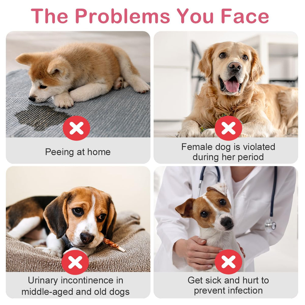 Flying Paws XS 40-count diapers provide ample coverage for small dogs.