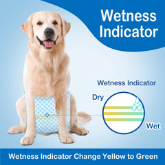 Flying Paws elastic-fit belly band stays in place during activity