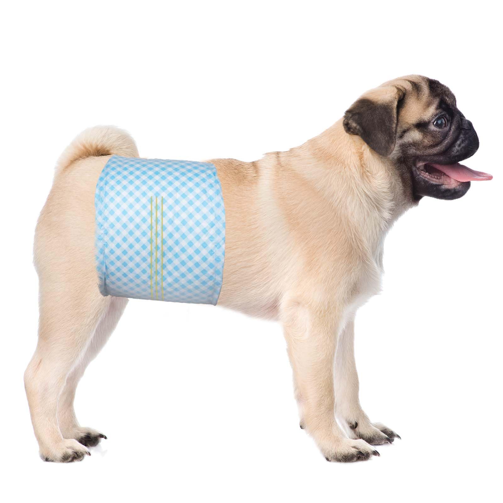 Flying Paws disposable male dog belly band with wetness indicator for quick diaper change