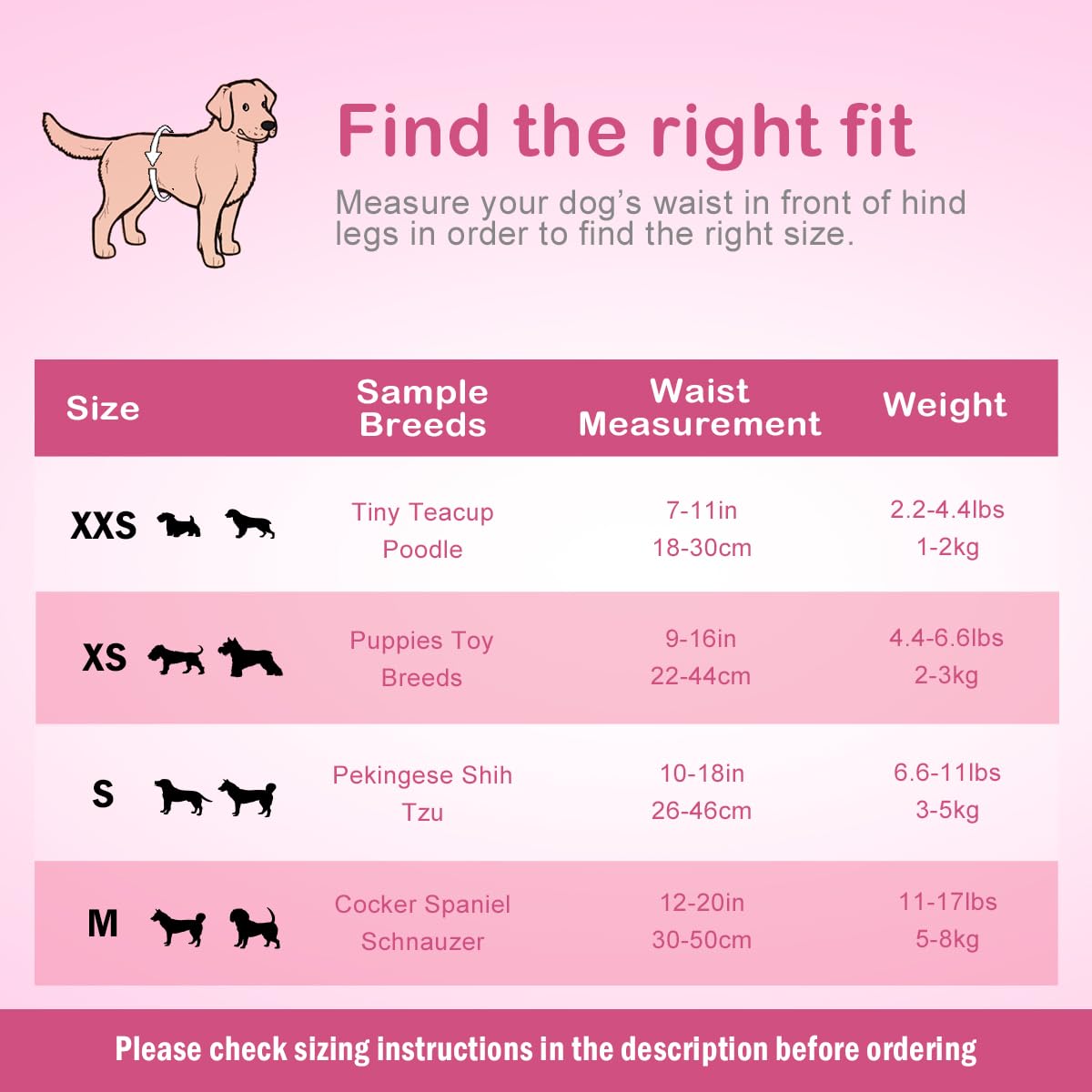 Flying Paws packaging options illustrate single or multi-pack convenience