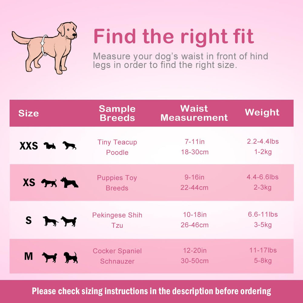 Flying Paws: ideal para viajes con protección fiable.