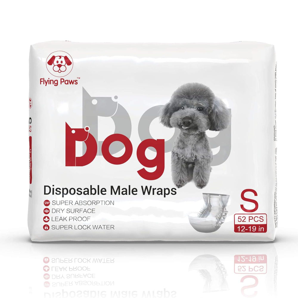 Flying Paws diaper worn on a small male dog demonstrating secure fit during activity