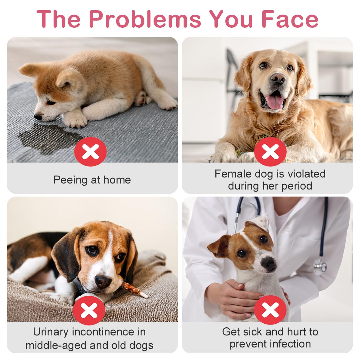 Flying Paws travel-ready dog diapers for trips and outings