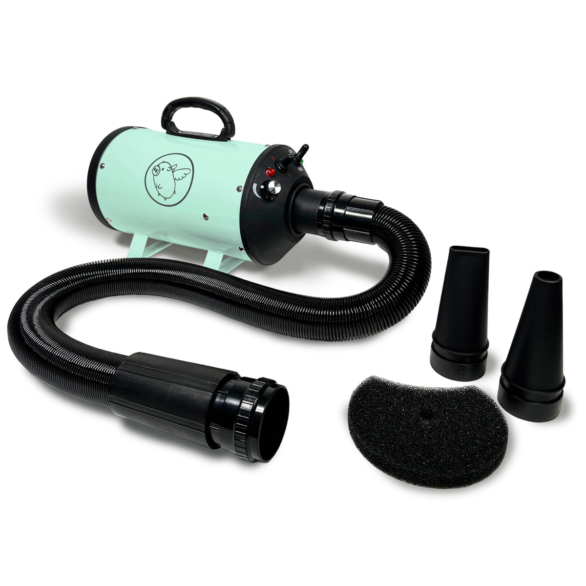 Flying Pig High Velocity Dryer mint body demonstrates strong airflow for quick dog drying.