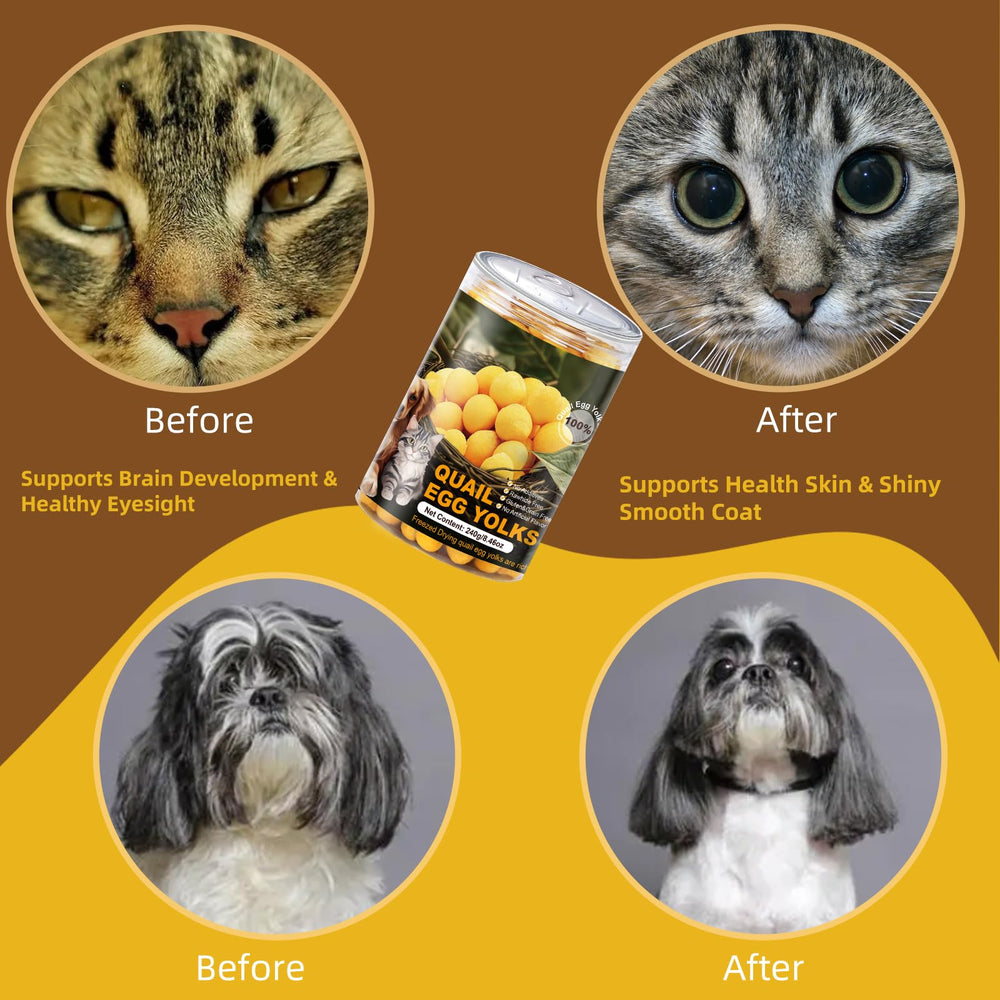 Flyjobs dogs and cats snack with yolk nutrition for growth and coat care.