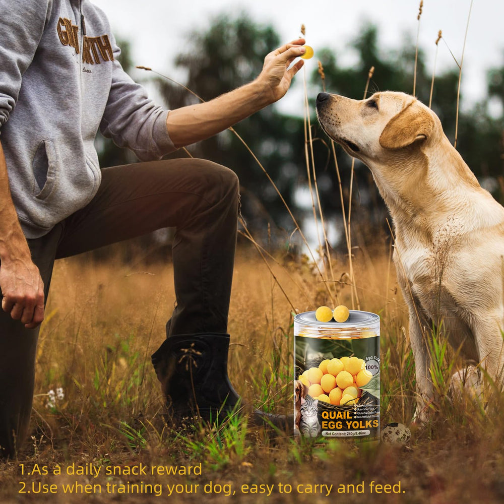 Flyjobs portable treat for quick rewards during walks and trips.