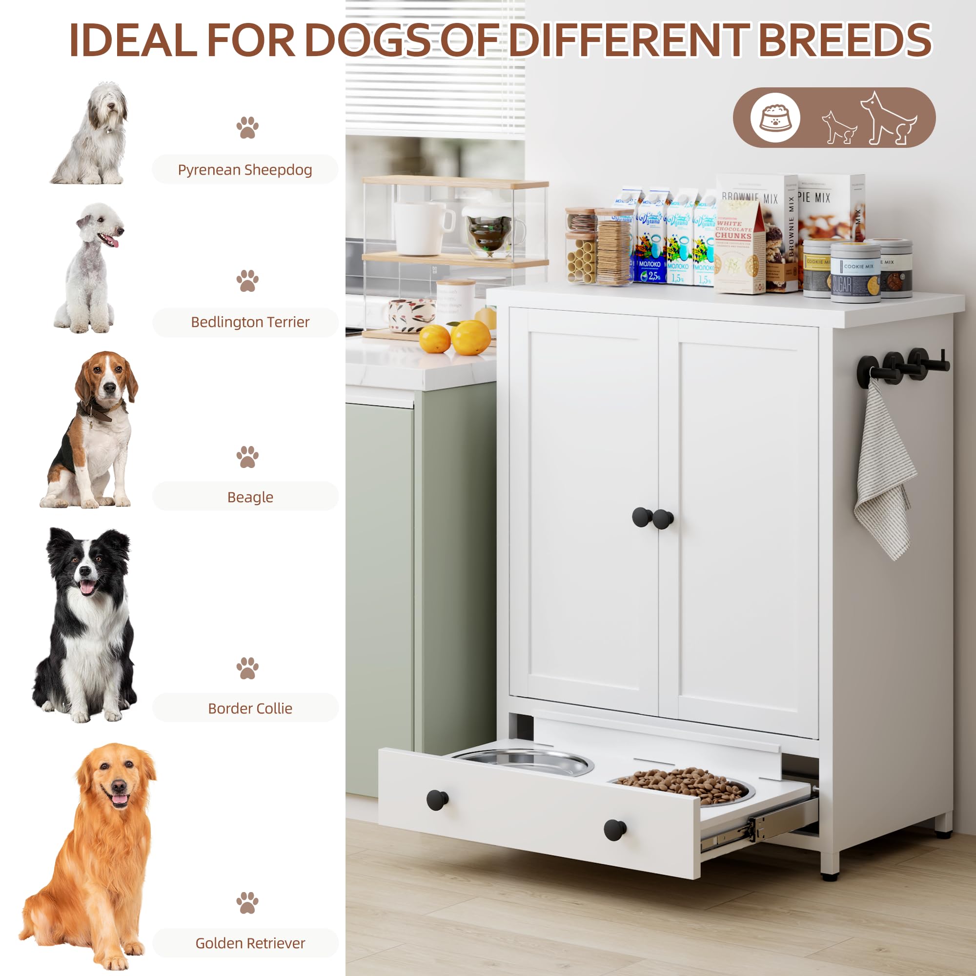 Fmlud dog feeding station with metal hooks organizes leashes and collars.