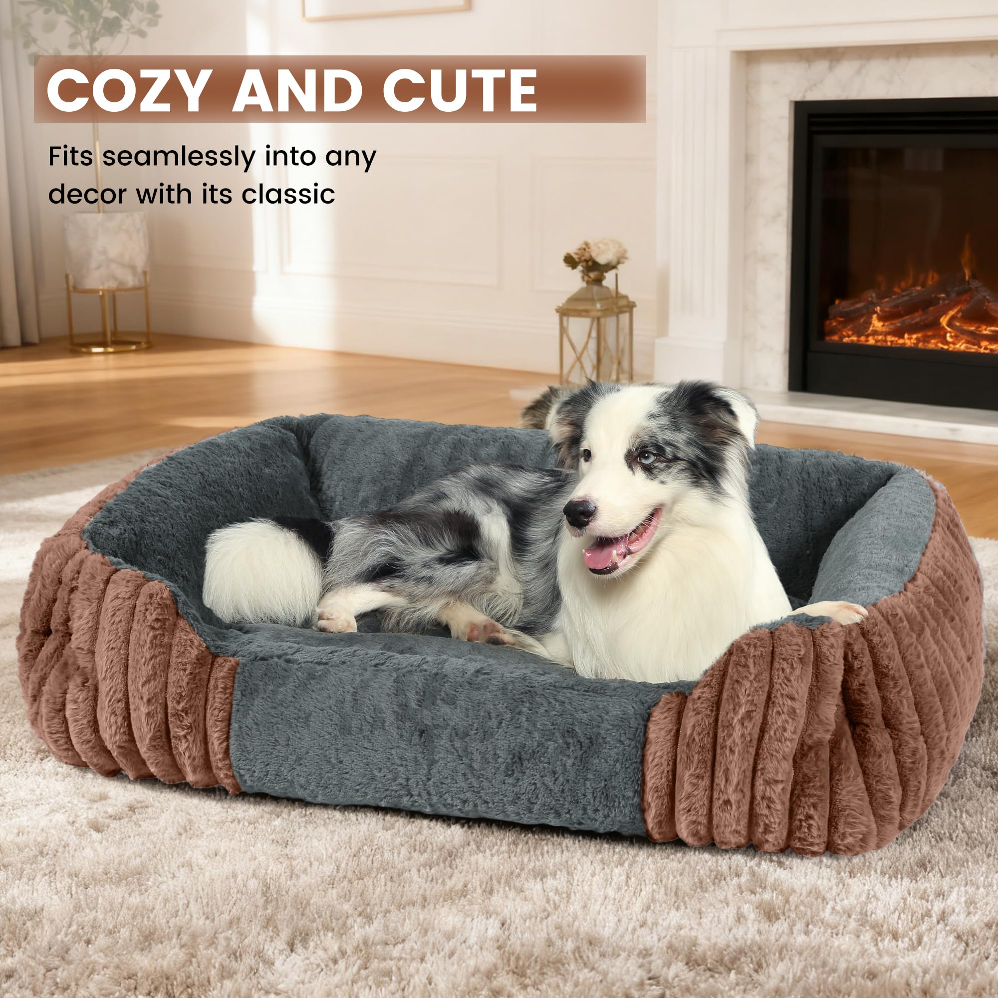 Fnsyay room or sofa friendly dog bed fits in living spaces.