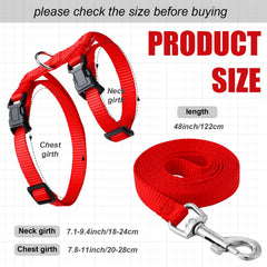 Foaincore safety bell collar grey helps locate your pet during outings