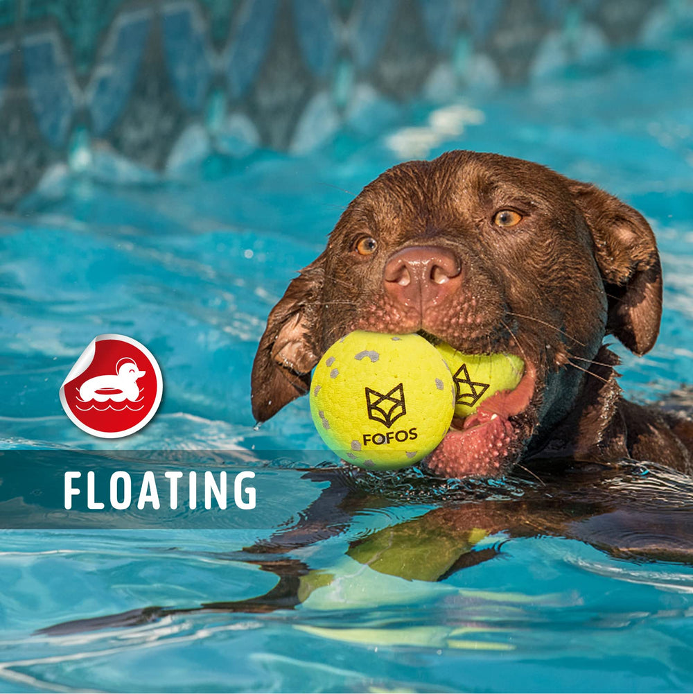 FOFOS four-pack set supports shared play with dogs.