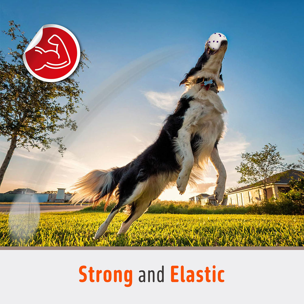 FOFOS dog balls are waterproof and easy to clean after outdoor play