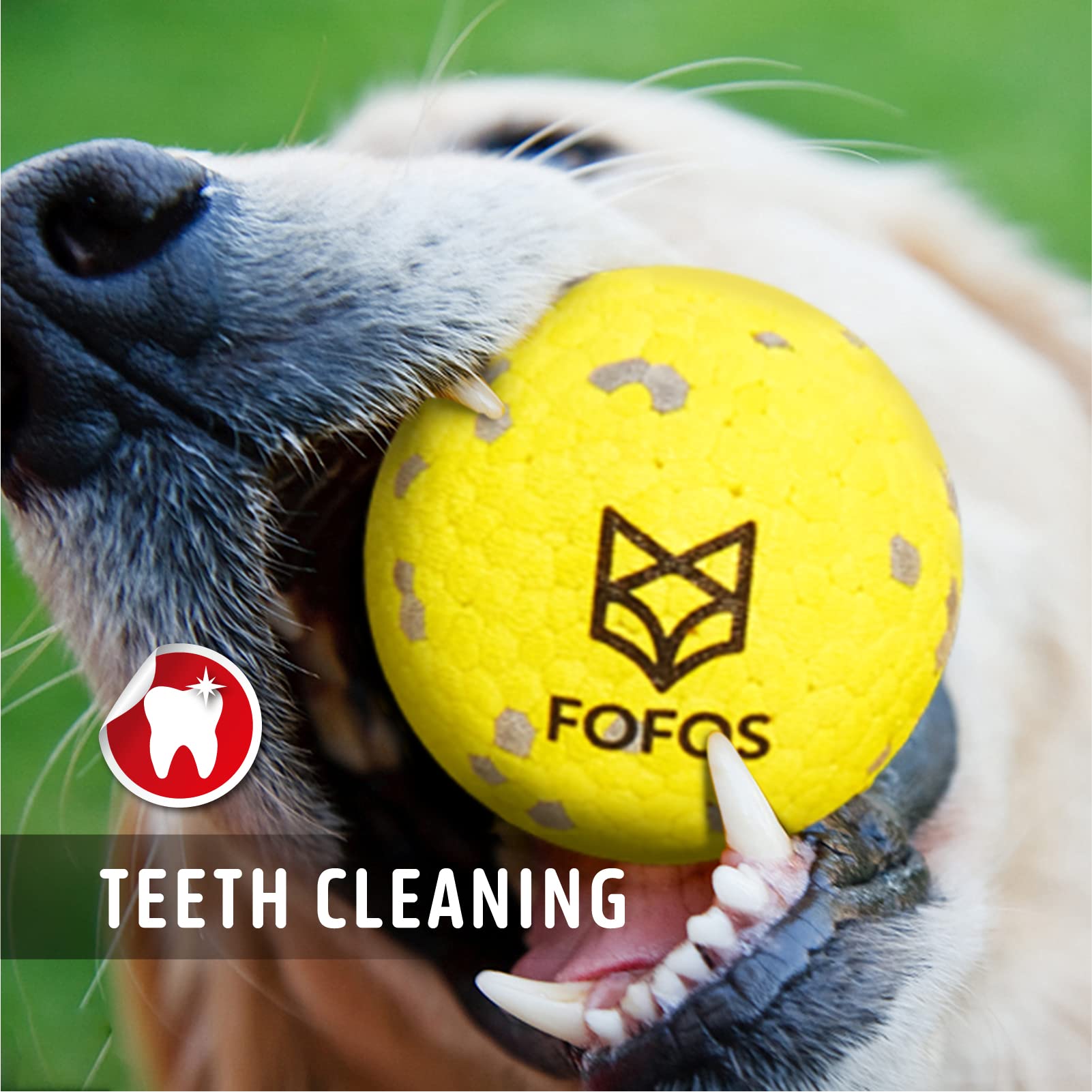 FOFOS durable teething toy designed for molar chewing.