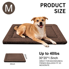 Fogkiss dog bed mat machine-washable for effortless cleaning.