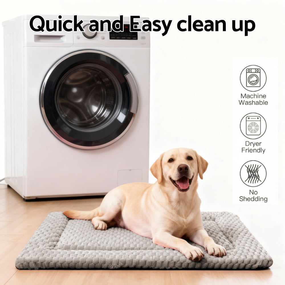 Fogkiss dog bed mat living room use demonstrates versatile resting space.