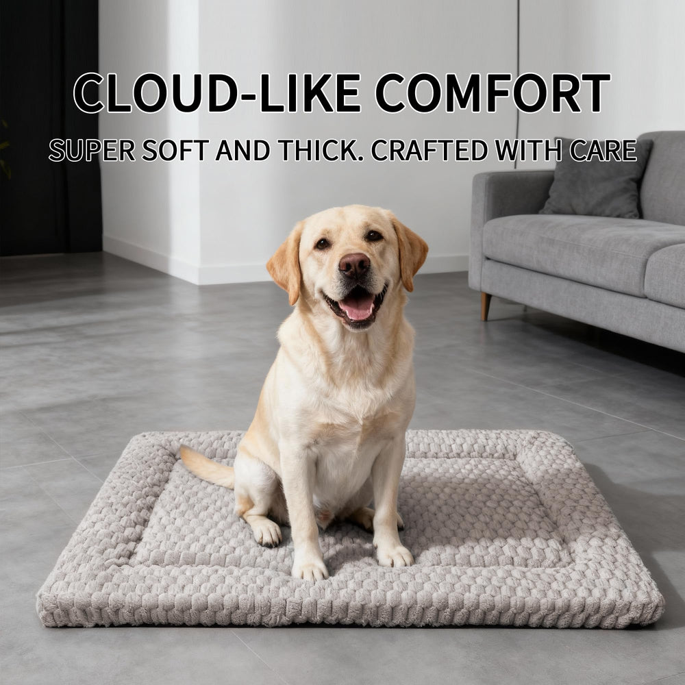 Fogkiss dog bed mat machine-wash-demo shows easy cleaning and care.