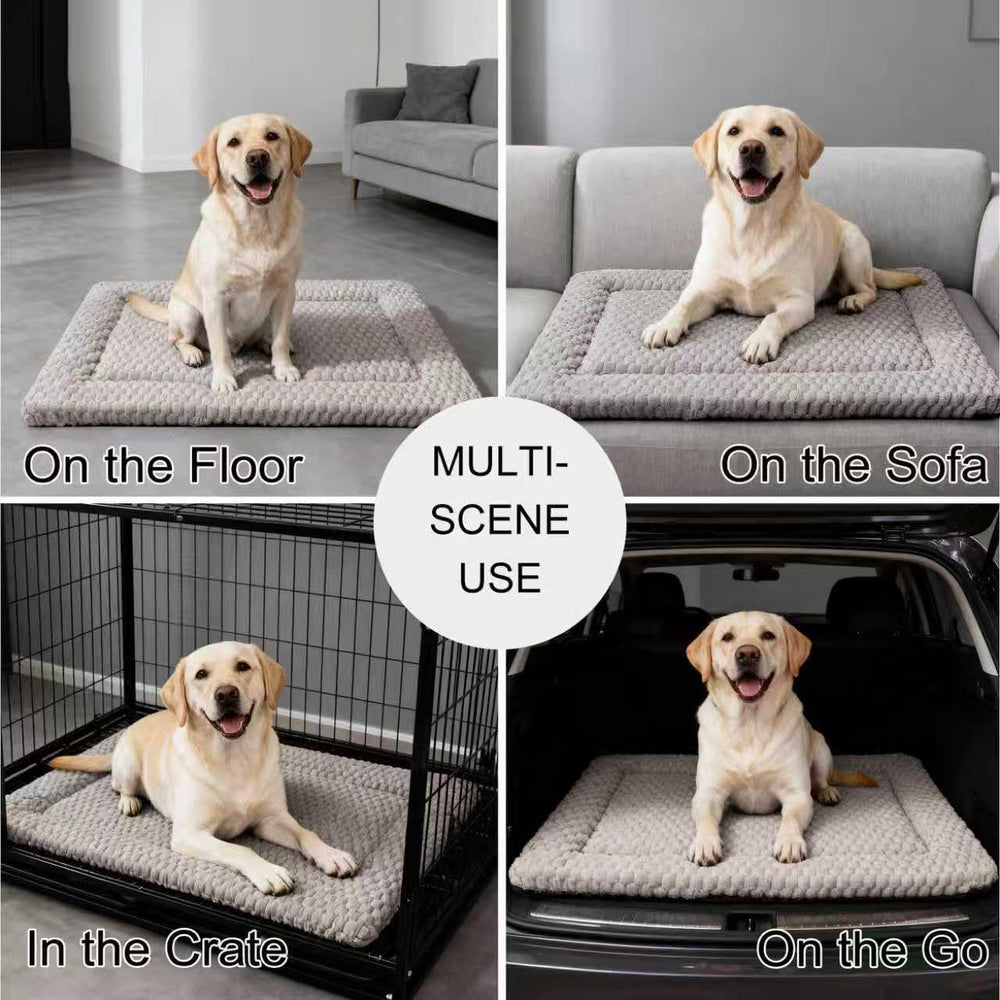 Fogkiss dog bed mat travel-ready setup ready for car trips.