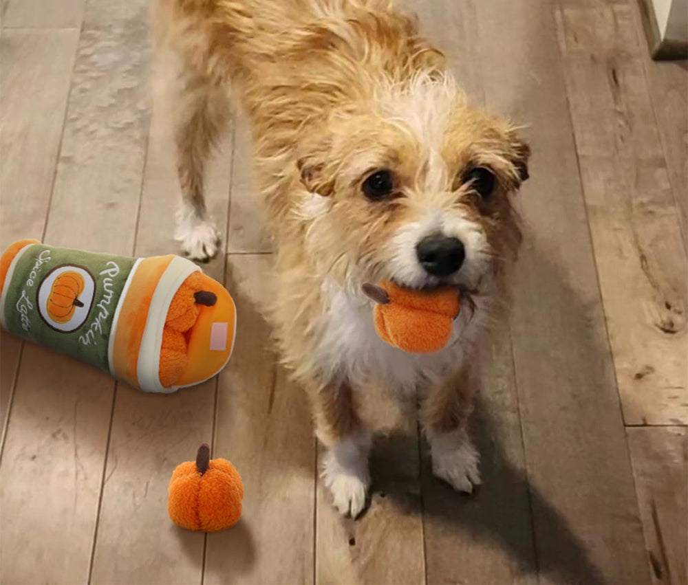 FONBALLOON PARTY Hide and Seek plush dog toy ideal Halloween gift pack