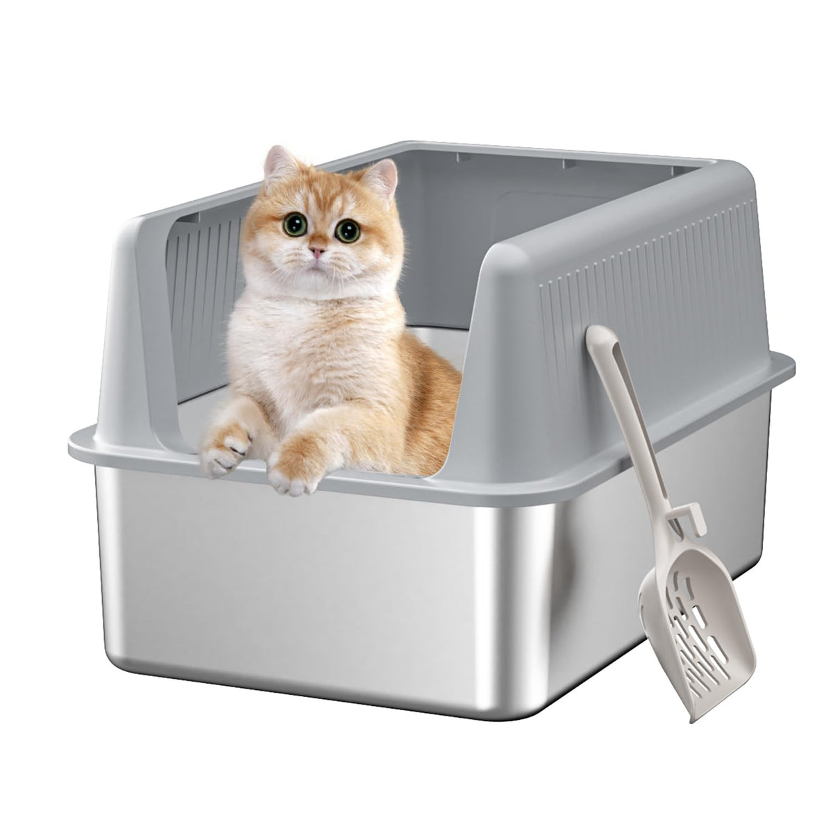 Fooalgo stainless steel cat litter box with lid highlights privacy and odor containment.