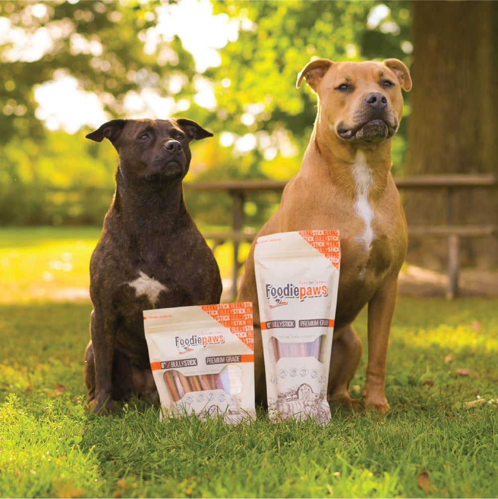 FOODIEPAWS dental and teething chew; supports gums and oral care